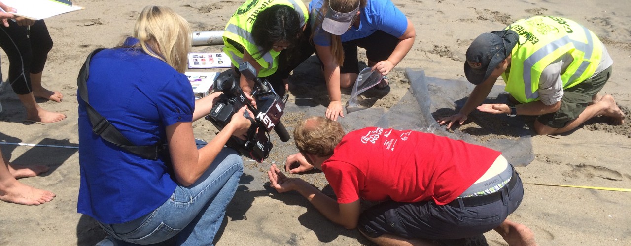 KEYT-KCOY-KKFX Reporter Kelsey Gerckens filming Tevin Schmitt and ESRM Project ACCESO students sorting a sand core at Point Mugu State Beach on June 2, 2015.