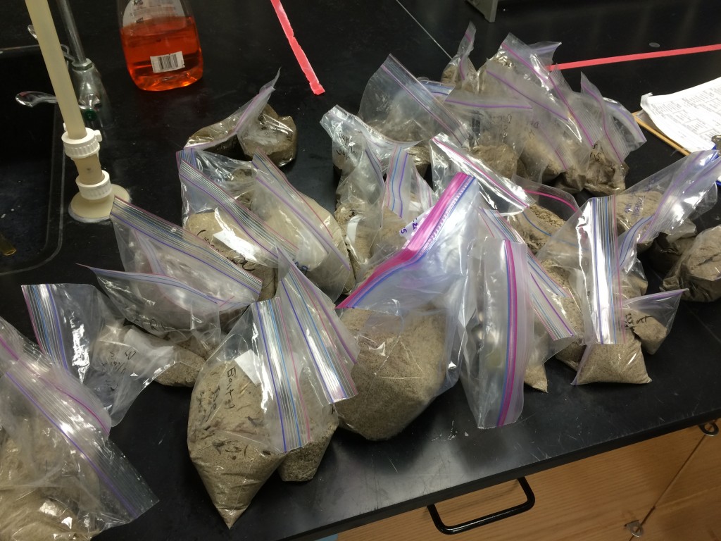 Sand samples from across the Southern California Bight.