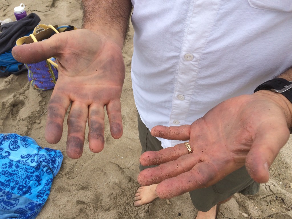 Dr. Don Rodriguez's hands covered in a light oil sheen following our regular sand coring, indicating an oil sheen hit the beach sometime in the preceding several days.  June 3, 2015