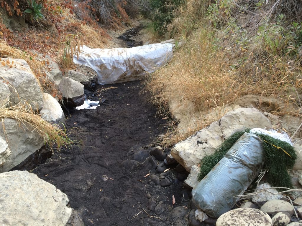 Sandbag dam for first water flushing trials in the Prince Barranca.  July 29, 2016.